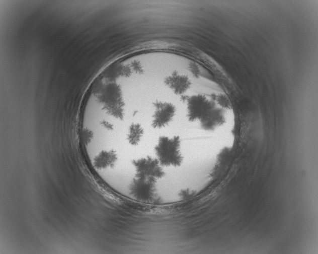 X0000082171178200702162253