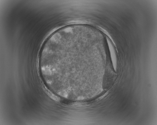 X0000082171179200702162253