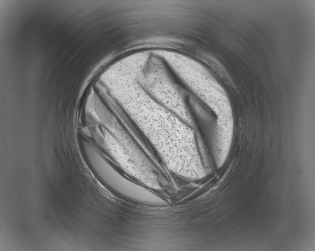 X0000082171180200702162253