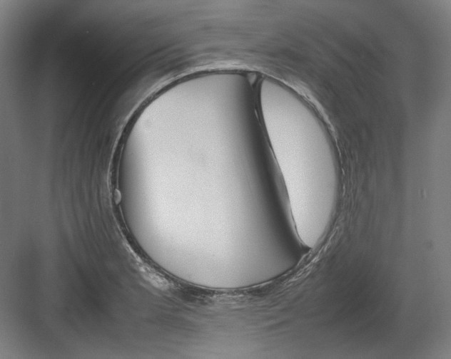 X0000082171181200702162253