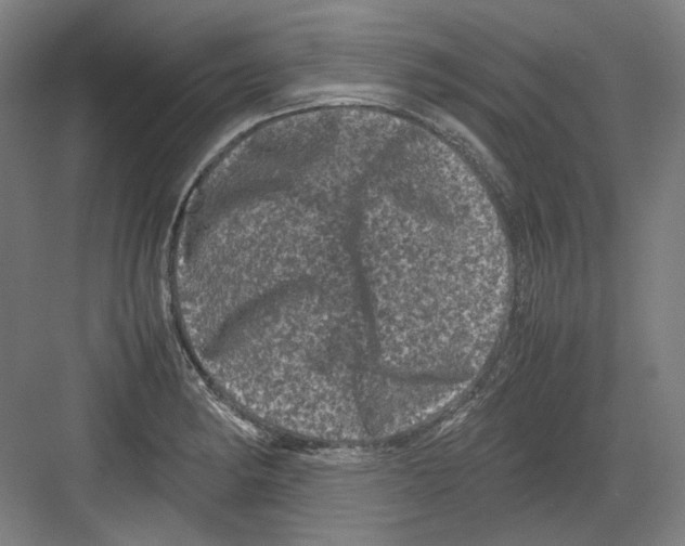 X0000082171182200702162253