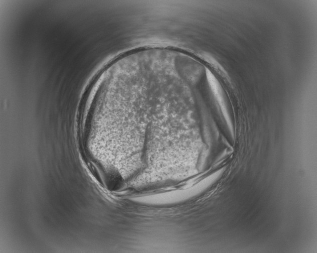 X0000082171183200702162253