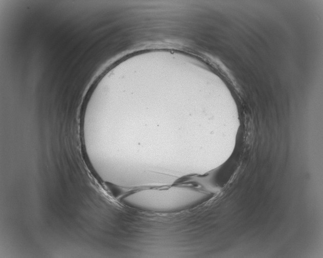 X0000082171184200702162253