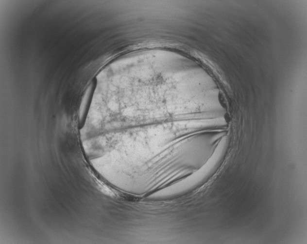 X0000082171185200702162253