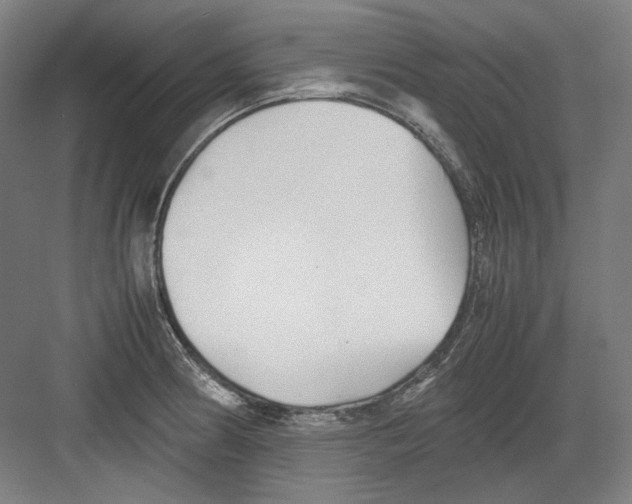 X0000082171186200702162253