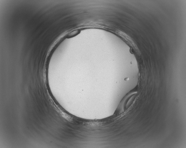 X0000082171188200702162253