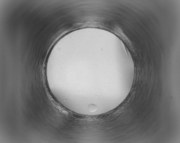 X0000082171190200702162253