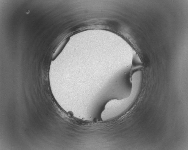 X0000082171193200702162253