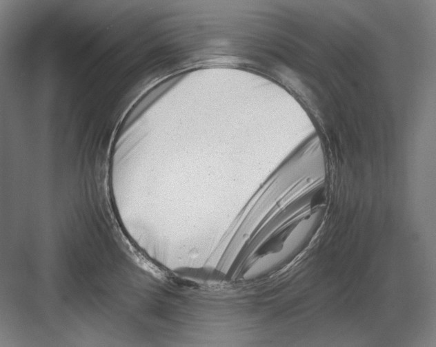 X0000082171194200702162253