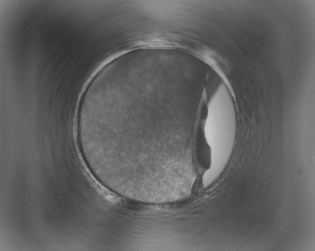 X0000082171195200702162253