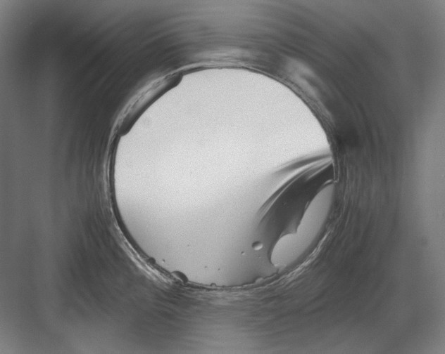 X0000082171196200702162253