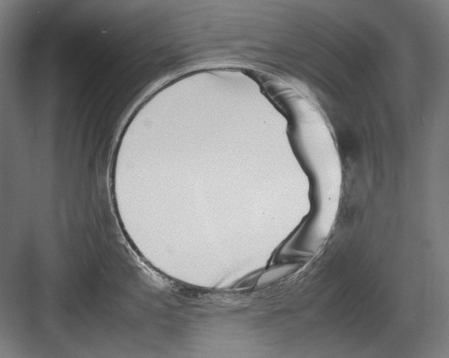 X0000082171197200702162253