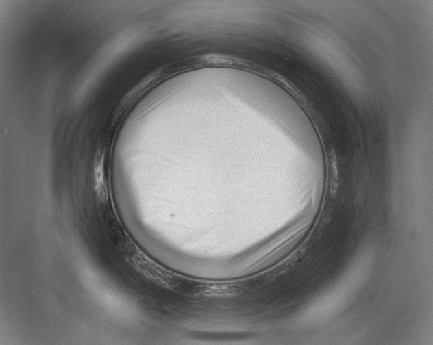 X0000082171198200702162253