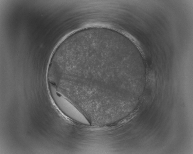 X0000082171199200702162253