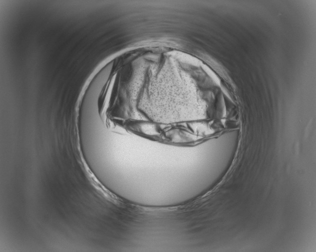 X0000082171200200702162253