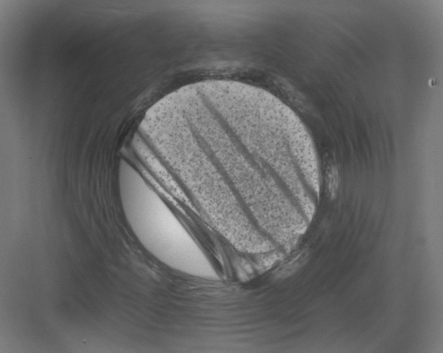 X0000082171204200702162252