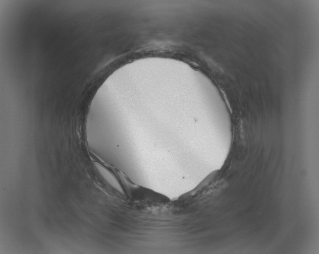 X0000082171206200702162252