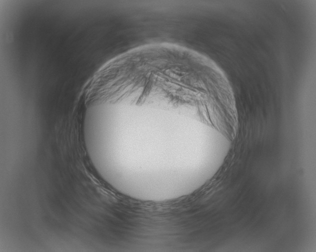 X0000082171208200702162252