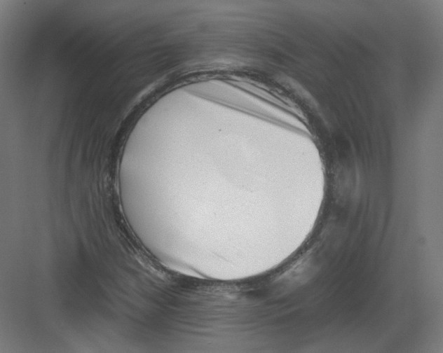 X0000082171210200702162252