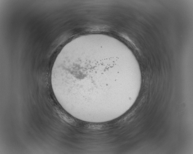 X0000082171211200702162252