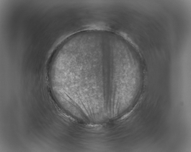 X0000082171215200702162252