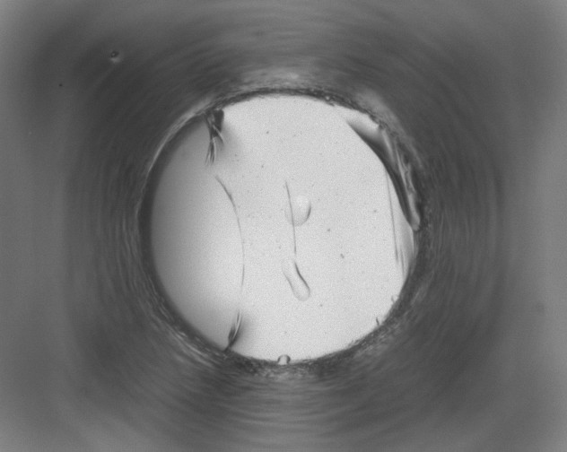 X0000082171218200702162252