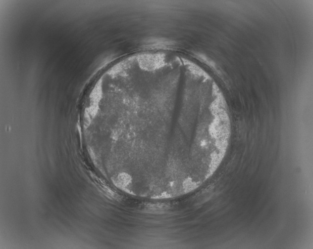 X0000082171219200702162252