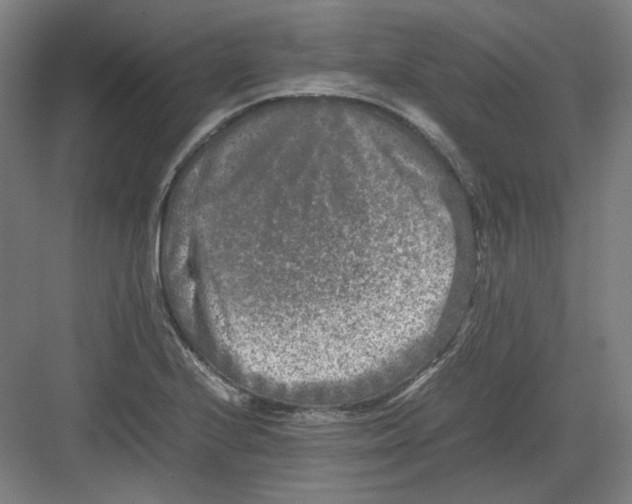 X0000082171224200702162252