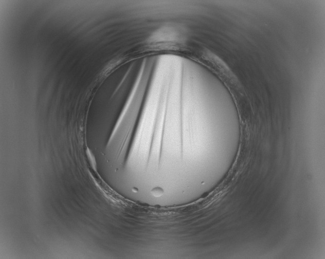 X0000082171225200702162252