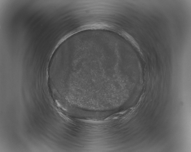 X0000082171226200702162252