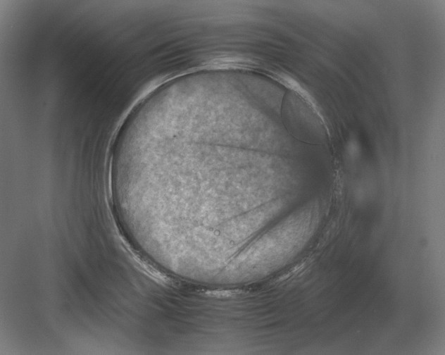 X0000082171227200702162252