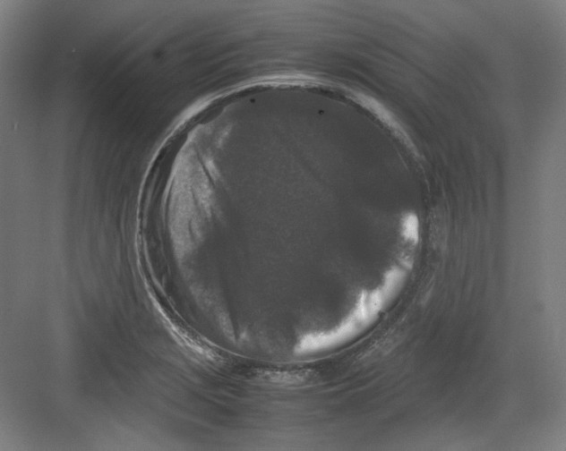 X0000082171229200702162252