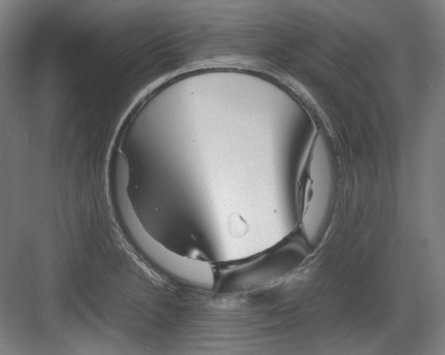 X0000082171230200702162252