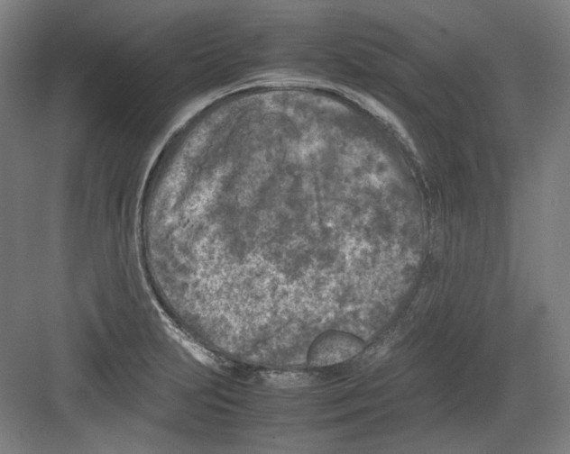 X0000082171231200702162252