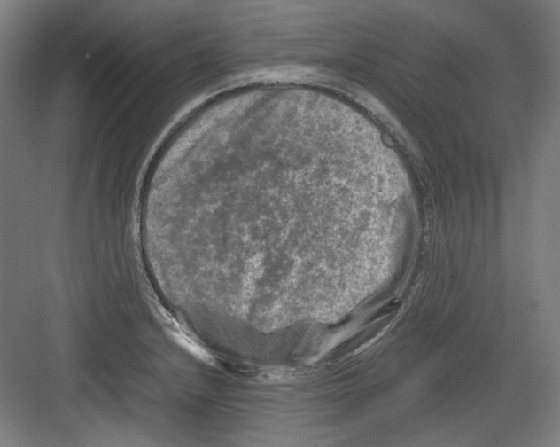 X0000082171232200702162252