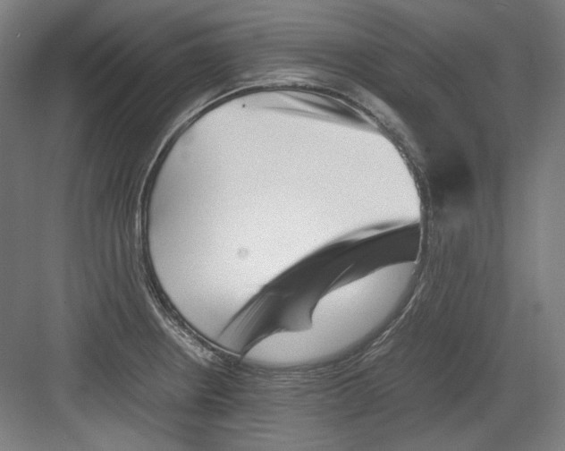 X0000082171234200702162252