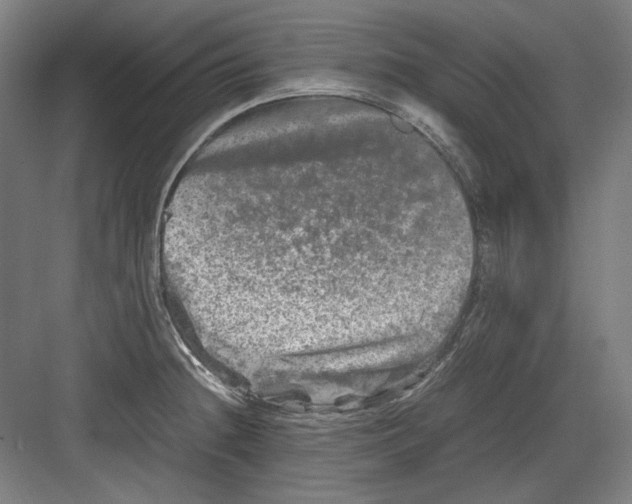 X0000082171236200702162252