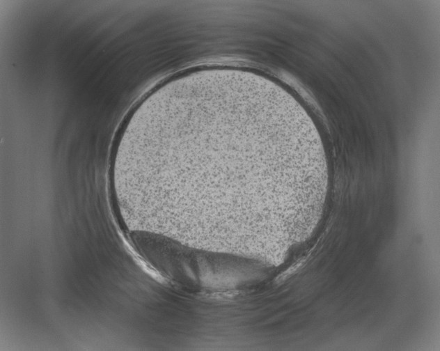 X0000082171237200702162252