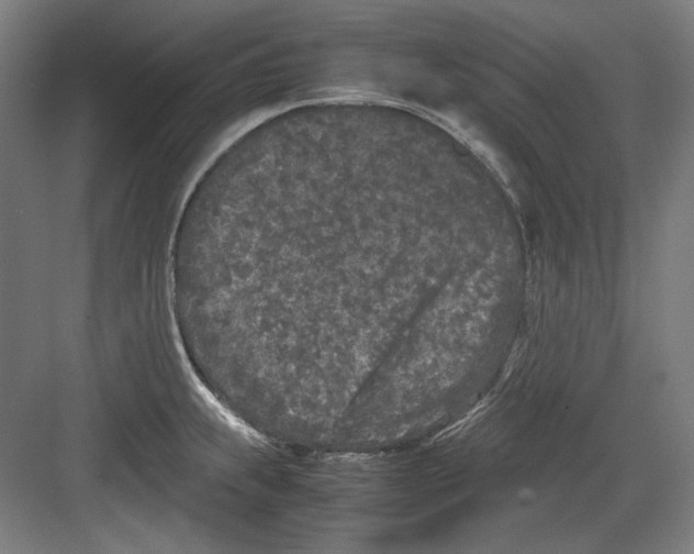 X0000082171239200702162252