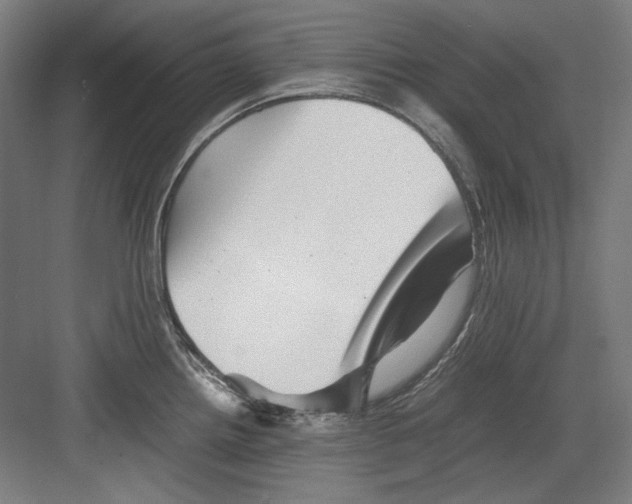 X0000082171242200702162252