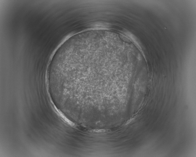 X0000082171243200702162252