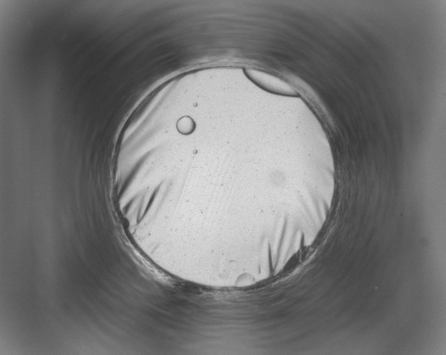 X0000082171244200702162253