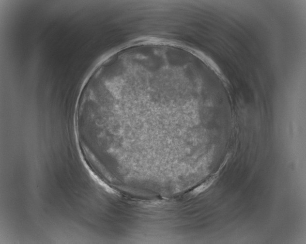 X0000082171247200702162253