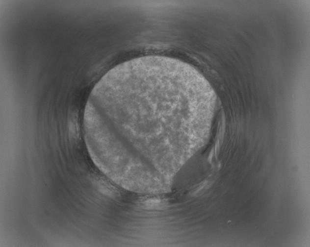 X0000082171252200702162252