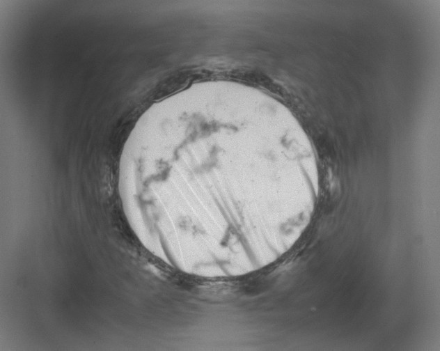 X0000082171253200702162252