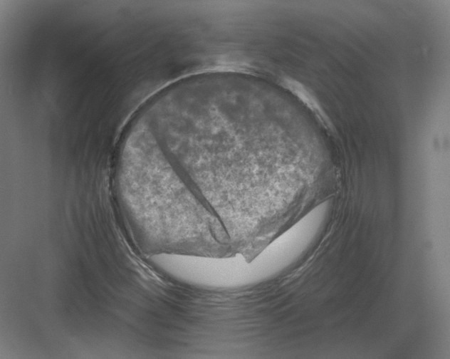 X0000082171260200702162252