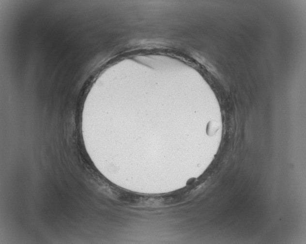 X0000082171261200702162252