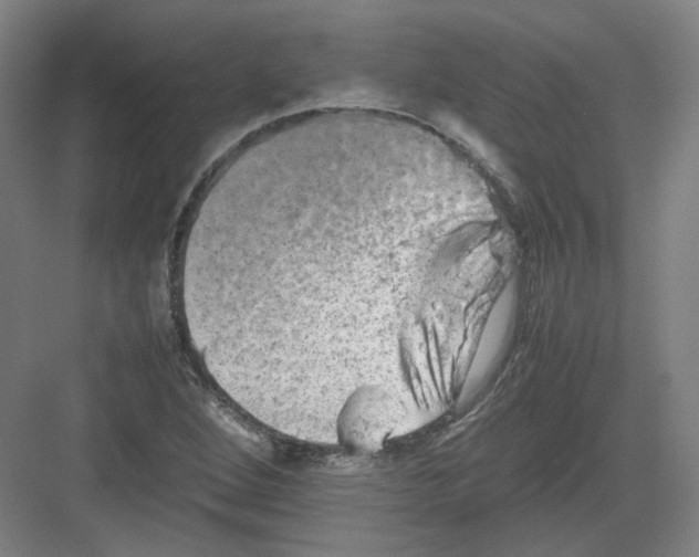 X0000082171264200702162252