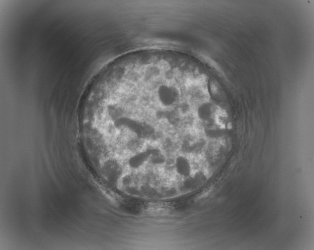 X0000082171267200702162251