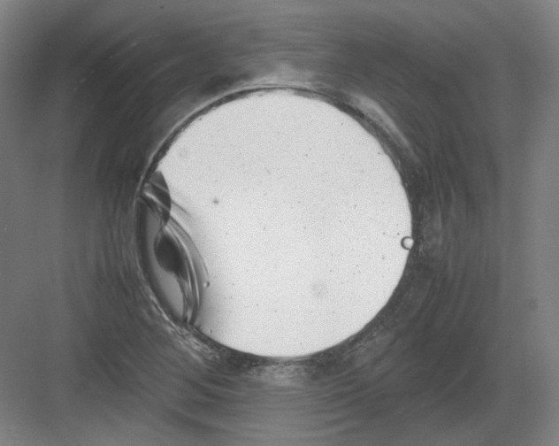 X0000082171268200702162251